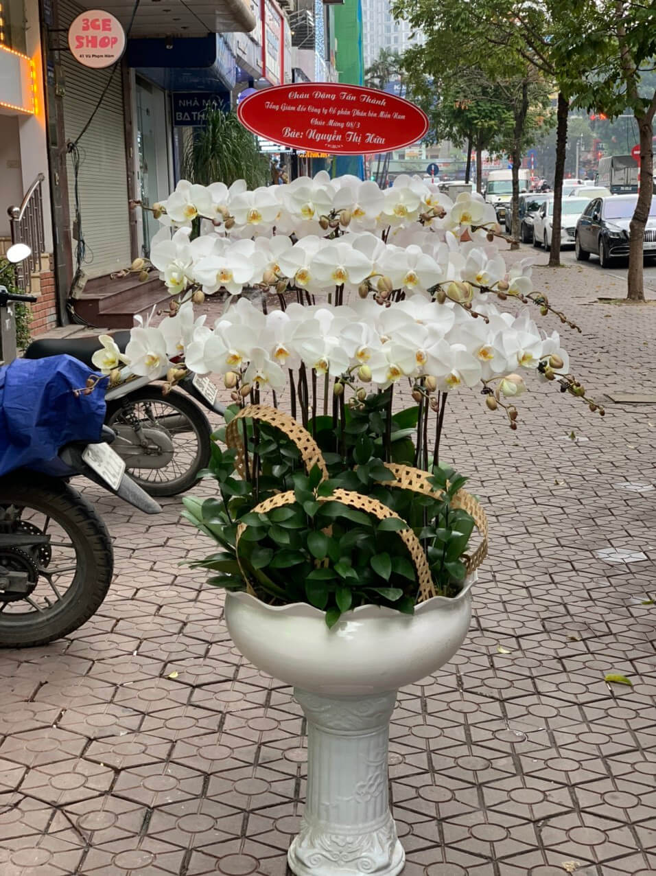 hoa-khai-truong-kt058